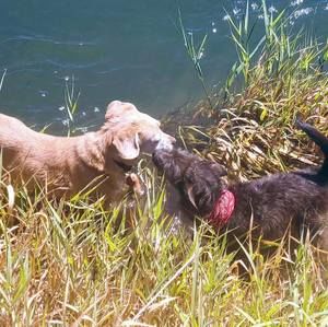 Meet your Posher, Cheryl